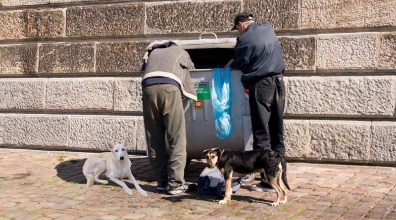 Todos los días, a la misma hora, veo a dos personas sin hogar con sus perros. Un día, no pude resistirlo y salí con una bolsa de comida