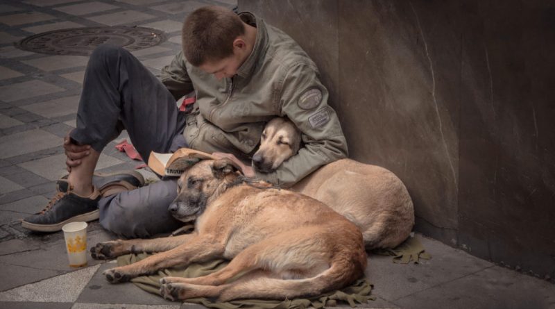 Cuando las riquezas desaparezcan y todo se desmorone, el perro será tan constante en su amor como el sol que cruza el cielo