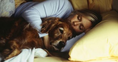 5 razones para permitir que tu perro duerma en tu cama