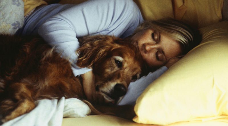 5 razones para permitir que tu perro duerma en tu cama