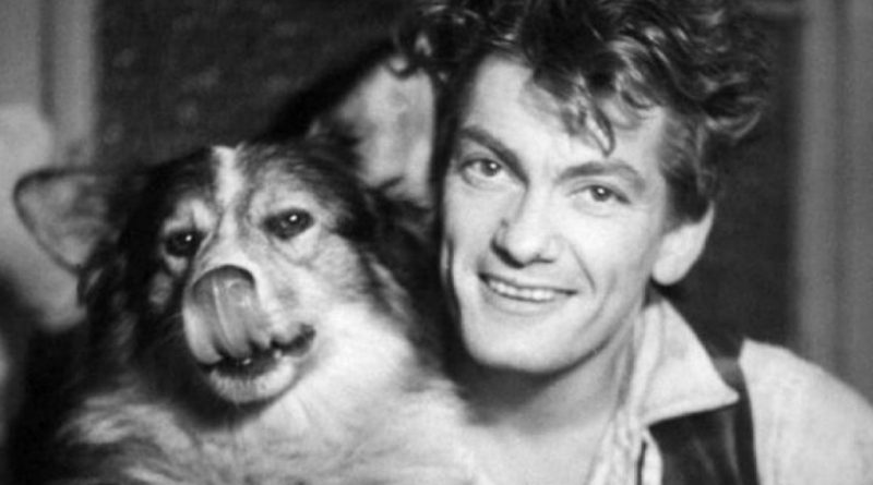 El famoso actor francés Jean Marais adoraba a los perros. Su perro más famoso y querido era Muluk, a quien encontró en la calle