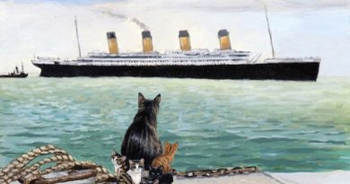 La historia de la gatita Jenny, que evacuó a sus gatitos del barco “Titanic”
