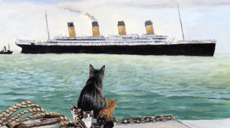 La historia de la gatita Jenny, que evacuó a sus gatitos del barco “Titanic”
