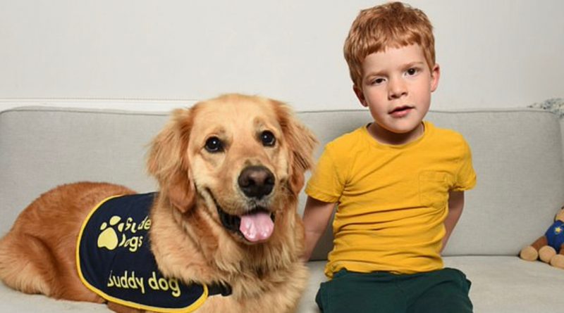 El Retriever se ha convertido en el mejor amigo de un niño ciego, y ahora son inseparables