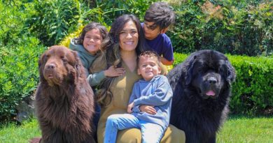 El tamaño del cachorro no importa si se lleva bien con los pequeños dueños