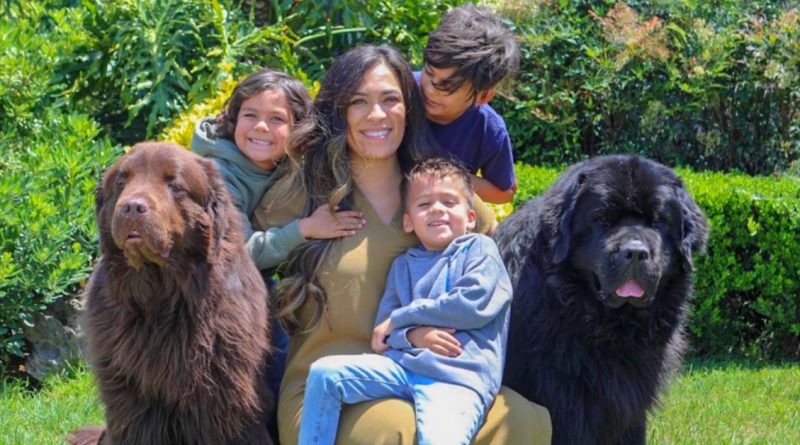 El tamaño del cachorro no importa si se lleva bien con los pequeños dueños