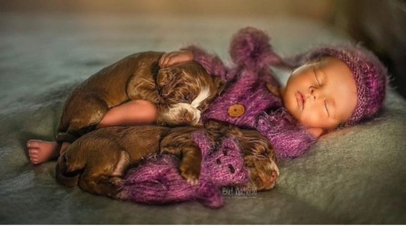 La fotógrafa muestra tiernos momentos entre niños y animales, y es una doble dosis de ternura
