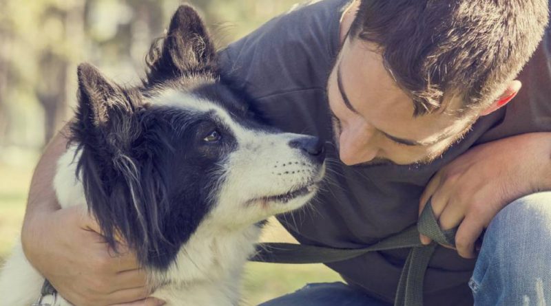 Cómo las mascotas afectan nuestro estado emocional