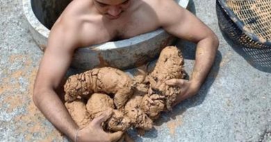 Un chico vio piedras sucias en un pozo, resultaron ser cachorros pequeños.
