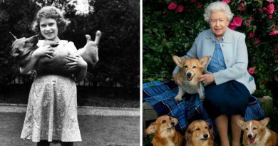 Elizabeth II y sus corgis: la historia de la principal pasión real