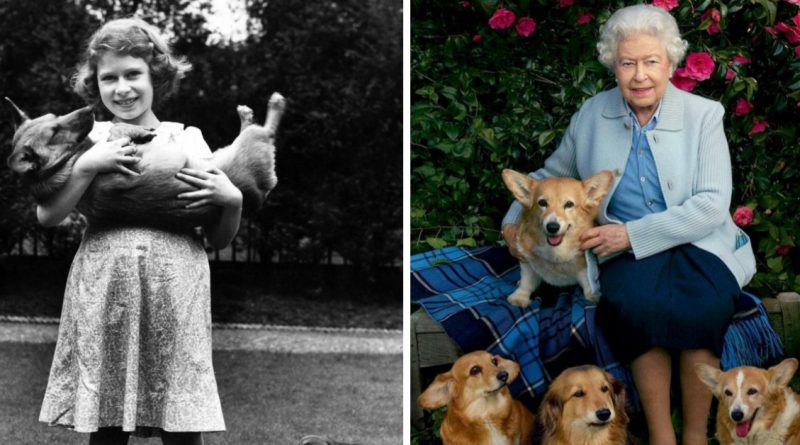 Elizabeth II y sus corgis: la historia de la principal pasión real