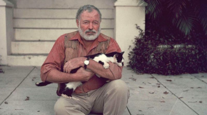 Ernest Hemingway y sus 57 gatos