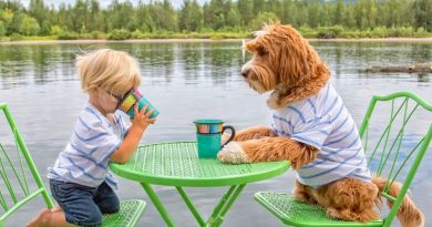 Una niñera para un huérfano: cómo un perro cuida de un niño pequeño