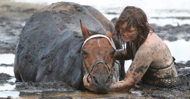 La chica no se alejó del caballo durante 3 horas, tratando de salvarlo del lodo que lo atrapaba