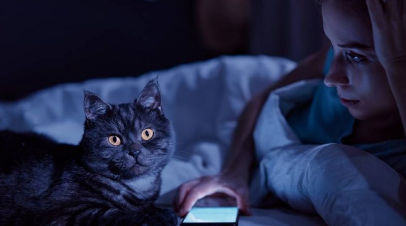 La mujer siempre se despertaba tarde para el trabajo. Puso una cámara y vio que su gato apagaba la alarma