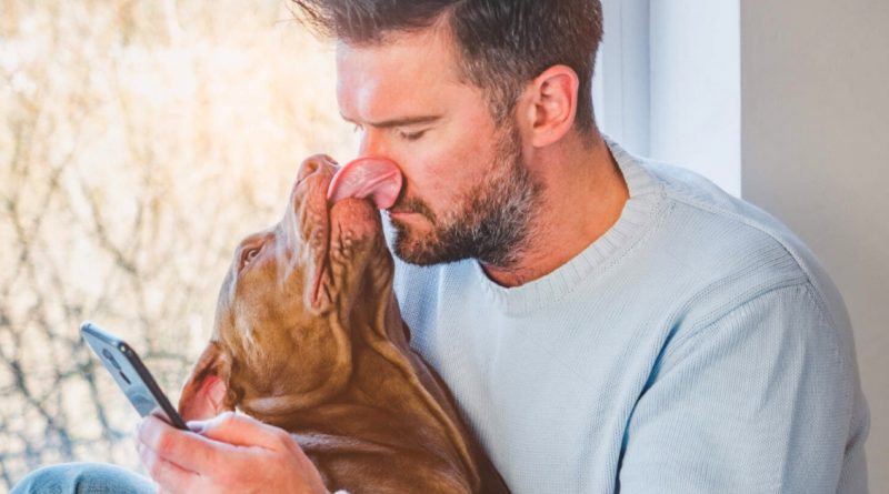 ¿Por qué los perros lamen la cara de sus dueños?