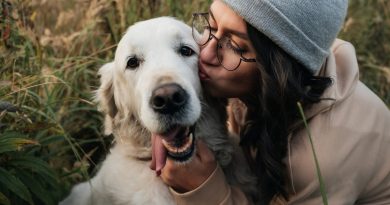 Valora a tus perros. Ámales. No solo de vez en cuando…