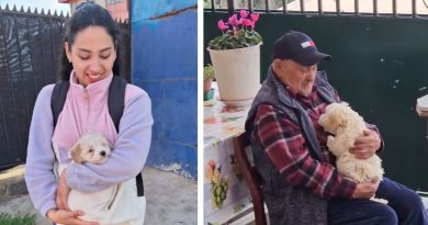 Una cariñosa nieta decidió darle a su abuelo de 96 años un cachorro, un regalo que no solo lo hizo sonreír, sino que también lo hizo “rejuvenecer”