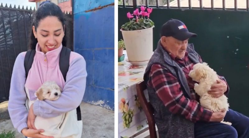 Una cariñosa nieta decidió darle a su abuelo de 96 años un cachorro, un regalo que no solo lo hizo sonreír, sino que también lo hizo “rejuvenecer”