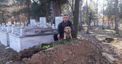 Perro desconsolado sigue regresando a la tumba de su mejor amigo todos los días