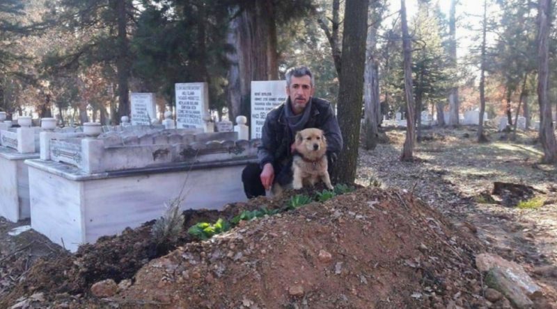 Perro desconsolado sigue regresando a la tumba de su mejor amigo todos los días