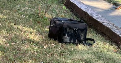 Propietaria Descubre Bolsa Negra en el Jardín — Luego Ve Cuatro Caras Mirándola