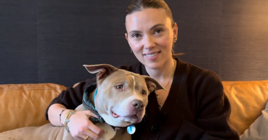 Scarlett Johansson tiene una cita a ciegas con una perrita pitbull de 12 años