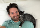 Nadie Quiere Jugar con Esta Gatita, Así que Su Papá Encontró una Solución