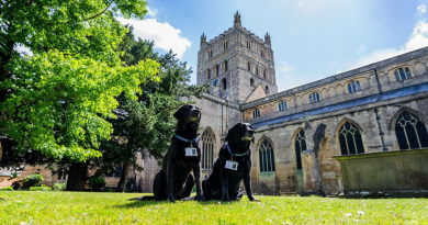 Estos Perros Fueron Permitidos Temporalmente en la Abadía de Tewkesbury, Pero Terminaron Quedándose como Parte del Personal