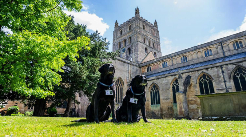 Estos Perros Fueron Permitidos Temporalmente en la Abadía de Tewkesbury, Pero Terminaron Quedándose como Parte del Personal