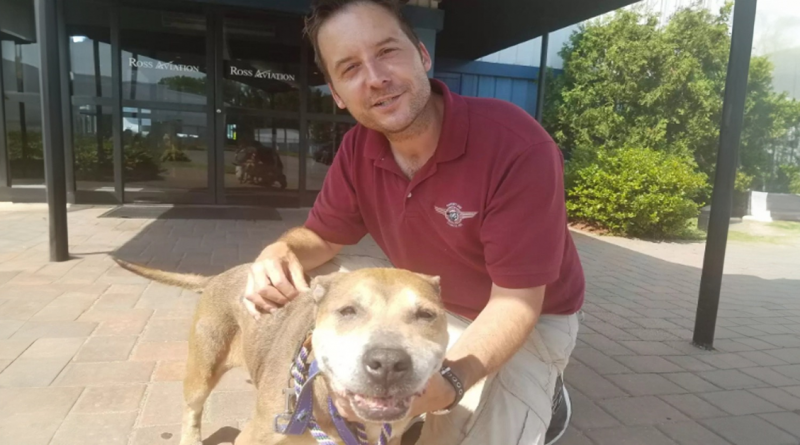 Hombre compra avión para poder llevar perros sin hogar a un lugar seguro