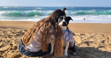 La Amistad Entre Dos Pit Bulls y un Colibrí Salvaje Derrite Corazones en Internet