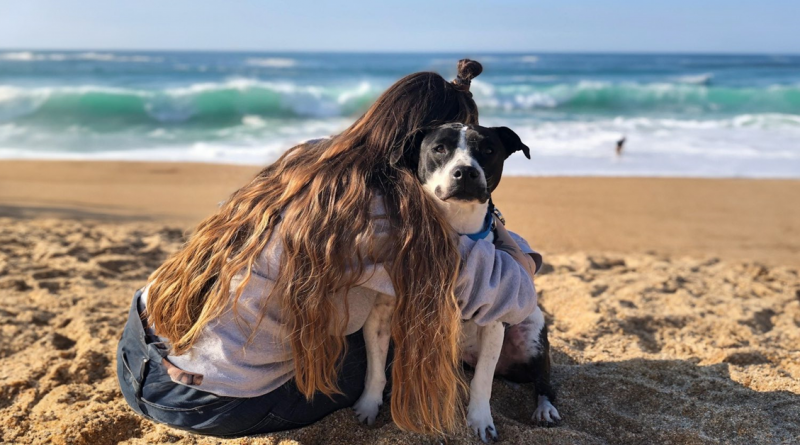 La Amistad Entre Dos Pit Bulls y un Colibrí Salvaje Derrite Corazones en Internet