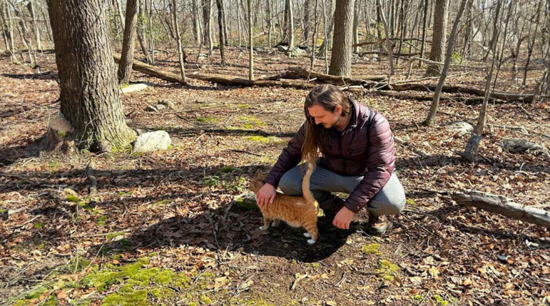 Un adorable gato que guía a los huéspedes de su dueña en caminatas ha conquistado Internet