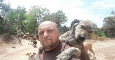 Este refugio en Serbia alberga miles de perros con amor