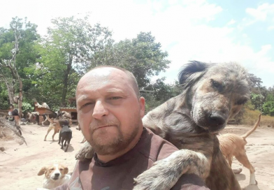 Este refugio en Serbia alberga miles de perros con amor