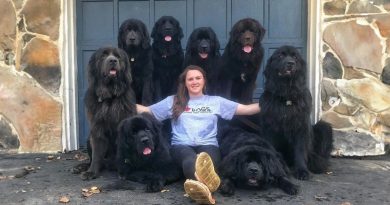 Esta Joven y Sus 9 Perros Visitan a Personas Hospitalizadas, Llevando Felicidad a Quienes Más lo Necesitan