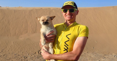 Perro callejero corre 130 kilómetros junto a un atleta en el desierto chino y encuentra un nuevo hogar