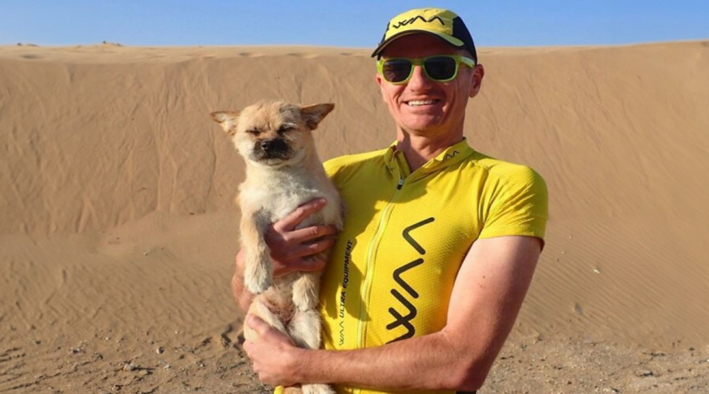 Perro callejero corre 130 kilómetros junto a un atleta en el desierto chino y encuentra un nuevo hogar