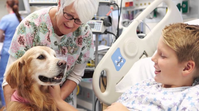 Cómo el golden retriever Basti transformó los días de hospital de un niño en momentos felices