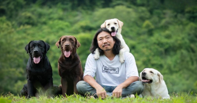 Hombre Comparte Fotos Divertidamente Adorables de Conducir Con y Ser Conducido por Sus Encantadores Perros