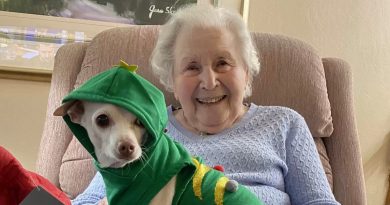 Una mujer de 100 años encuentra a su compañero perfecto en un perro mayor que nadie quería