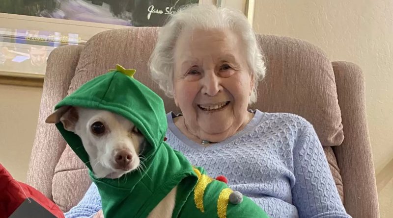 Una mujer de 100 años encuentra a su compañero perfecto en un perro mayor que nadie quería