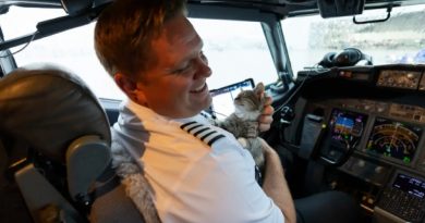 Piloto de Aerolínea Conoce a un Gatito Sin Hogar y lo Adopta en el Avión