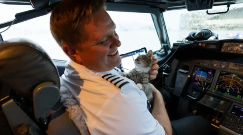 Piloto de Aerolínea Conoce a un Gatito Sin Hogar y lo Adopta en el Avión