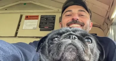 Conductor Detiene el Tren para Rescatar a un Asustado Pug Antes de un ‘Enorme’ Reencuentro Lleno de Lágrimas con sus Dueños