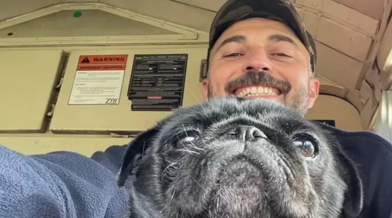 Conductor Detiene el Tren para Rescatar a un Asustado Pug Antes de un ‘Enorme’ Reencuentro Lleno de Lágrimas con sus Dueños