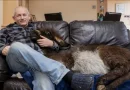 El Burro del Granjero Actúa Como un Perro Después de Pasar Meses Viviendo en el Hogar con Perros de la Familia