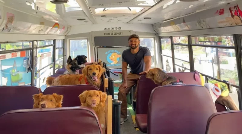 Un hombre convierte un autobús escolar en un paraíso de aventuras diarias para perros