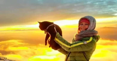 Una Joven Crea un Bolso Especial para su Gato para Llevarlo de Viaje por Italia — Su Pasatiempo Favorito